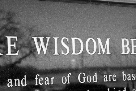 wisdom